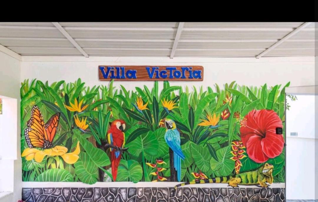 Villa Victoria Sosúa 部屋 写真